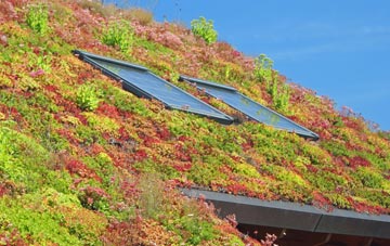 Winterbourne Stoke living roof systems