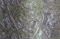 Winterbourne Stoke fibreglass roof work